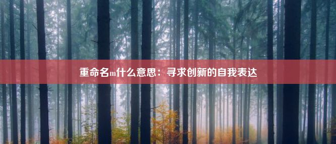 重命名m什么意思：寻求创新的自我表达