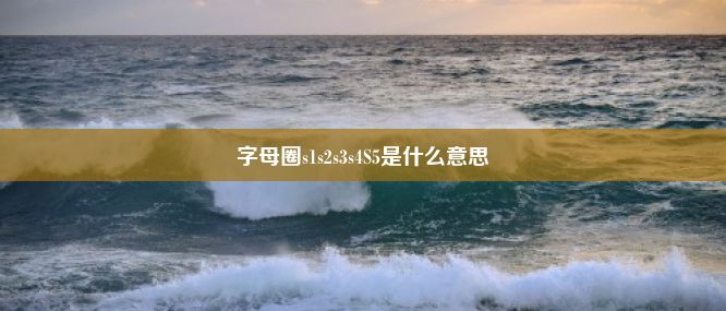 字母圈s1s2s3s4S5是什么意思