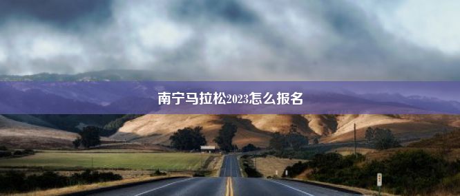 南宁马拉松2023怎么报名