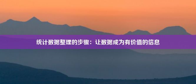 统计数据整理的步骤：让数据成为有价值的信息