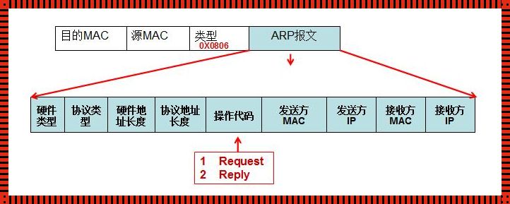 ARP协议封装在哪里？揭秘网络通信中的重要角色