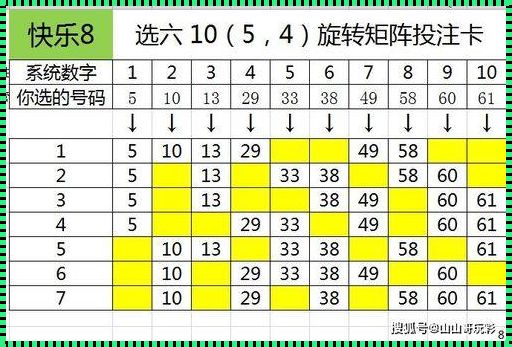 80个号选20个号万能组合：探索数字的奥秘