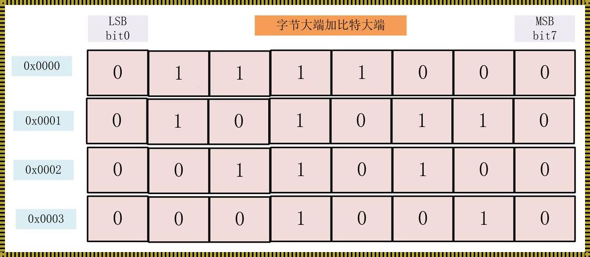 探究字节、位与比特之间的关系：解析数字世界的奥秘