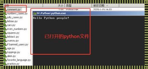 Python保存的文件闪退的解决秘籍