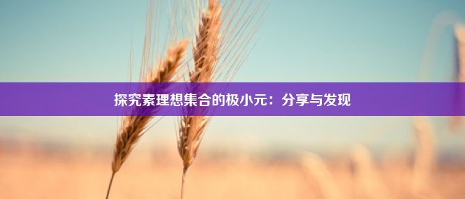 探究素理想集合的极小元：分享与发现