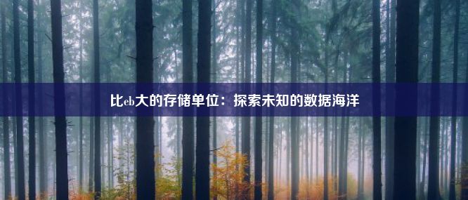 比eb大的存储单位：探索未知的数据海洋