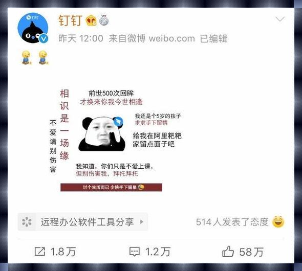 钉钉一串代码让全班同学说卧槽：网络时代的课堂奇观