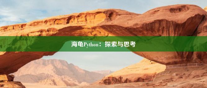 海龟Python：探索与思考