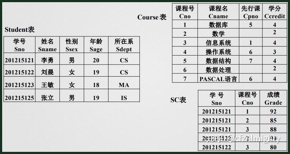 探讨现代数据库中学生的样例表：深入剖析与创新