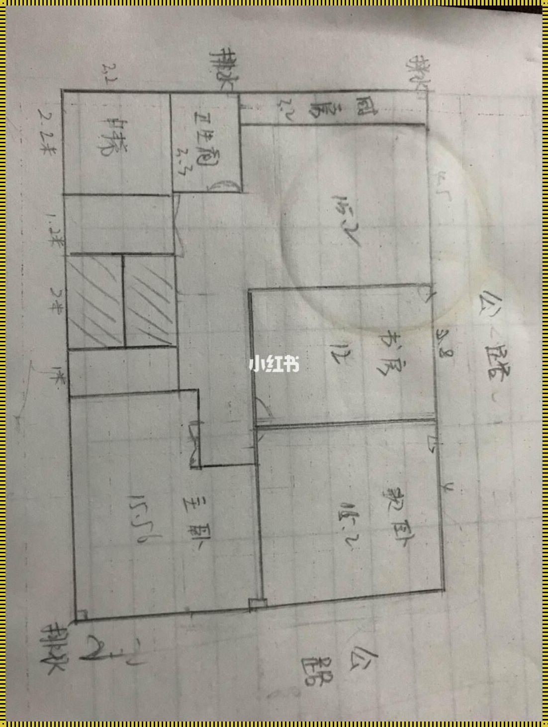 画一幅自己家的平面图：家的平方