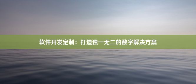 软件开发定制：打造独一无二的数字解决方案