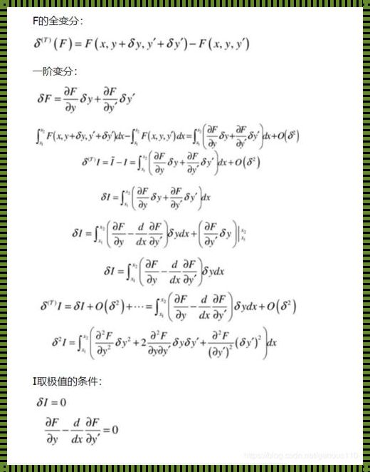 变分法推导拉格朗日方程：揭秘