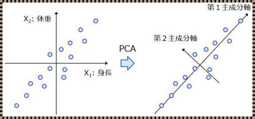 PCA主成分分析原理：探索数据背后的秘密