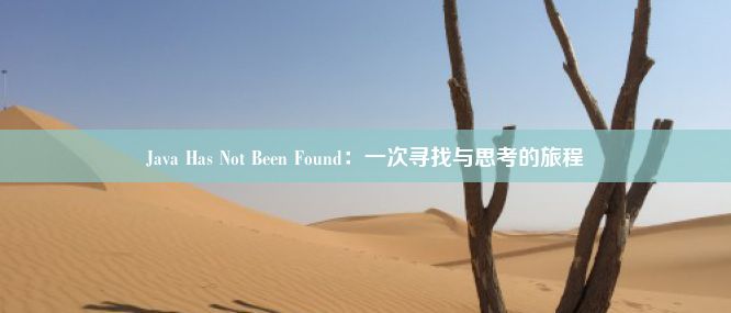 Java Has Not Been Found：一次寻找与思考的旅程