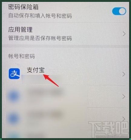 华为查看保存的账号密码：安全与便捷的平衡之道