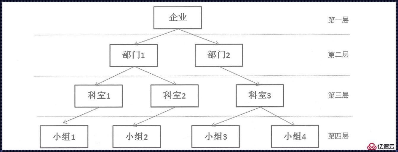 数据库设计与实现实例：探索信息管理的艺术