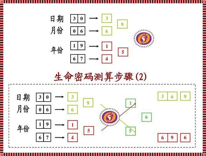 生命密码表生成器：探寻神秘背后的逻辑