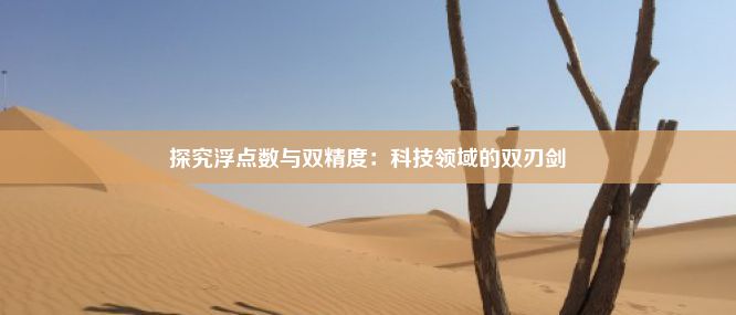 探究浮点数与双精度：科技领域的双刃剑