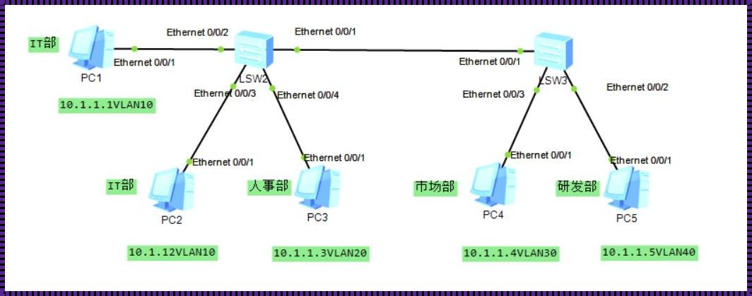 ENSp路由器配置VLAN的深度揭秘