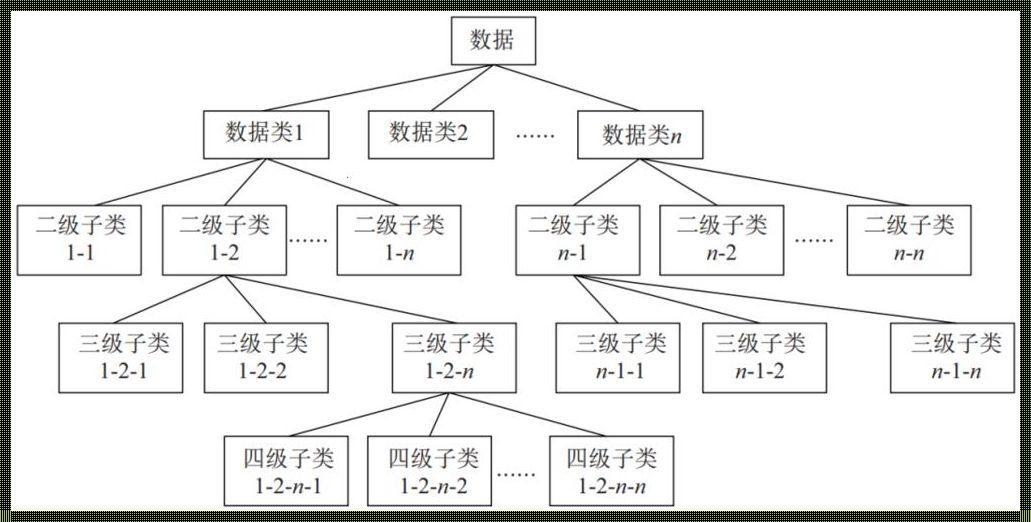 数据分类的原则：智慧排序的艺术