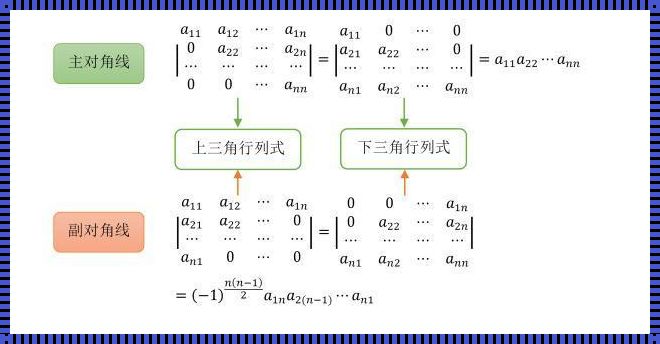 行列式的起源与应用：揭秘数学的神秘面纱