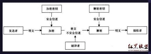 探索XBB解密算法的奥秘：分化与创新