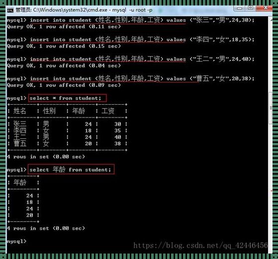 深入解析Java读取数据库数据的技术与实践