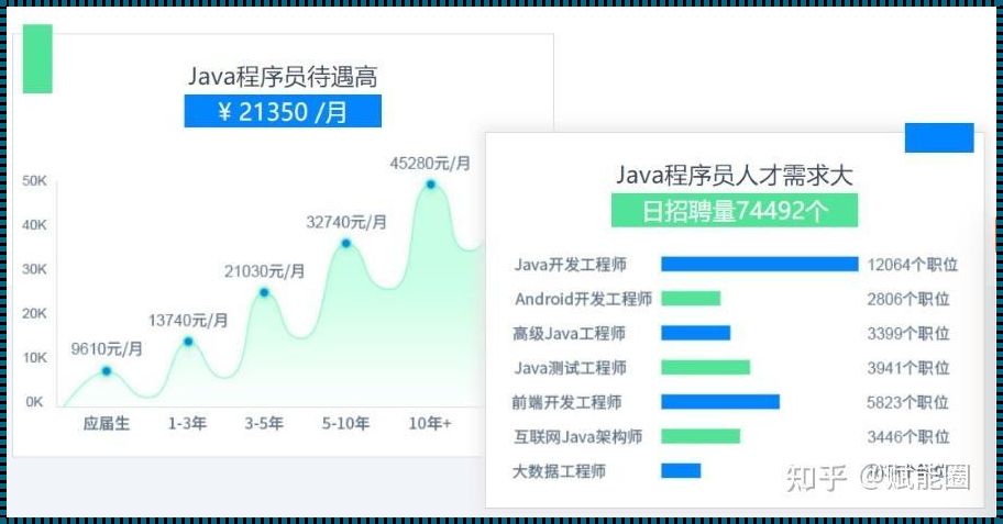 Java和Python先学哪个好：一场编程语言的抉择