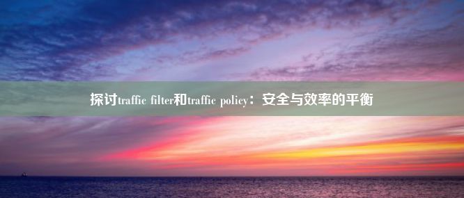 探讨traffic filter和traffic policy：安全与效率的平衡