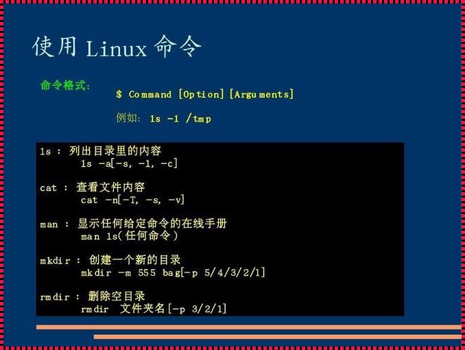 探究Linux启动SSH服务的命令背后