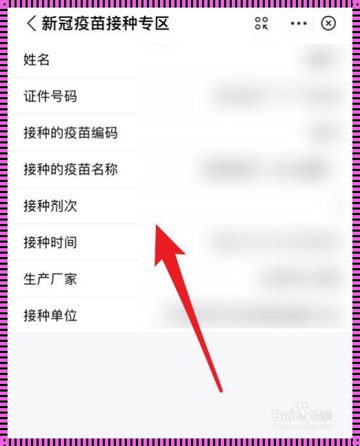 微信查询新冠疫苗接种记录的揭秘之旅