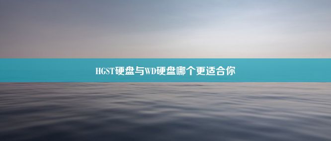 HGST硬盘与WD硬盘哪个更适合你