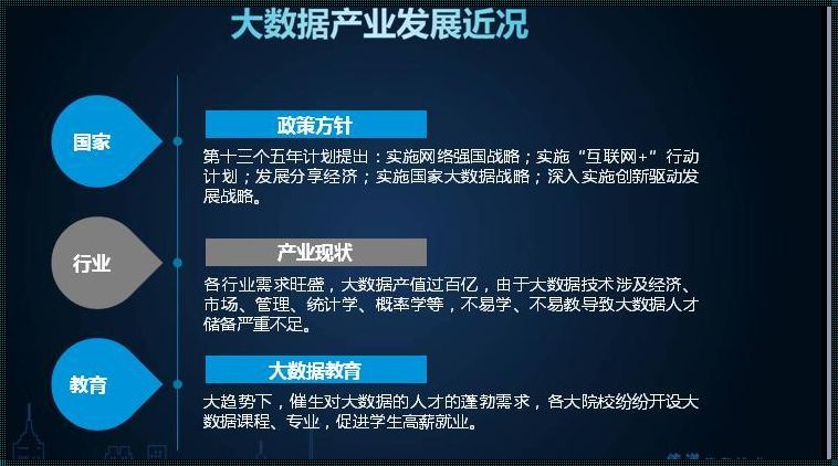 大数据科学与大数据技术排行：探索生态的奥秘