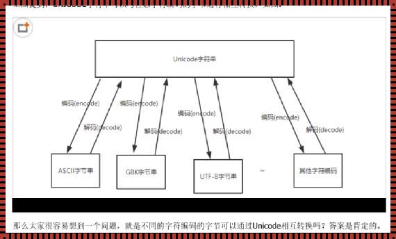 字节转化：主动掌握数字世界的语言