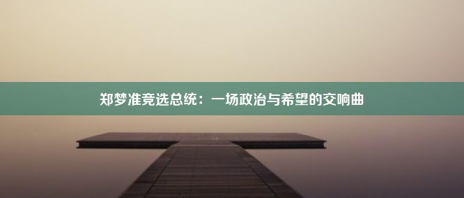 郑梦准竞选总统：一场政治与希望的交响曲