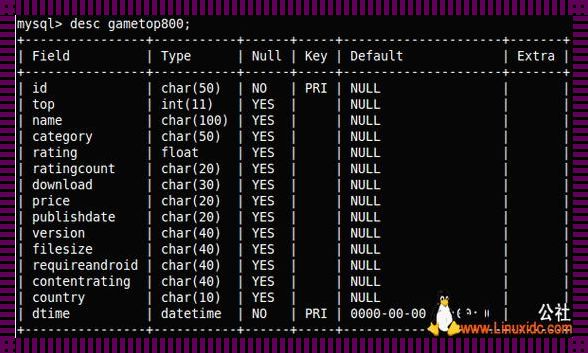 深入探讨：MySQL的DESC命令的神秘面纱