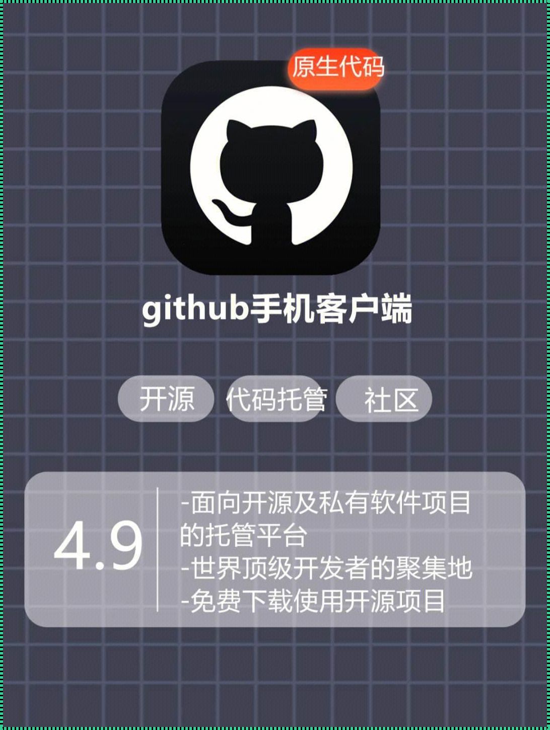 Gittub：质疑与探索