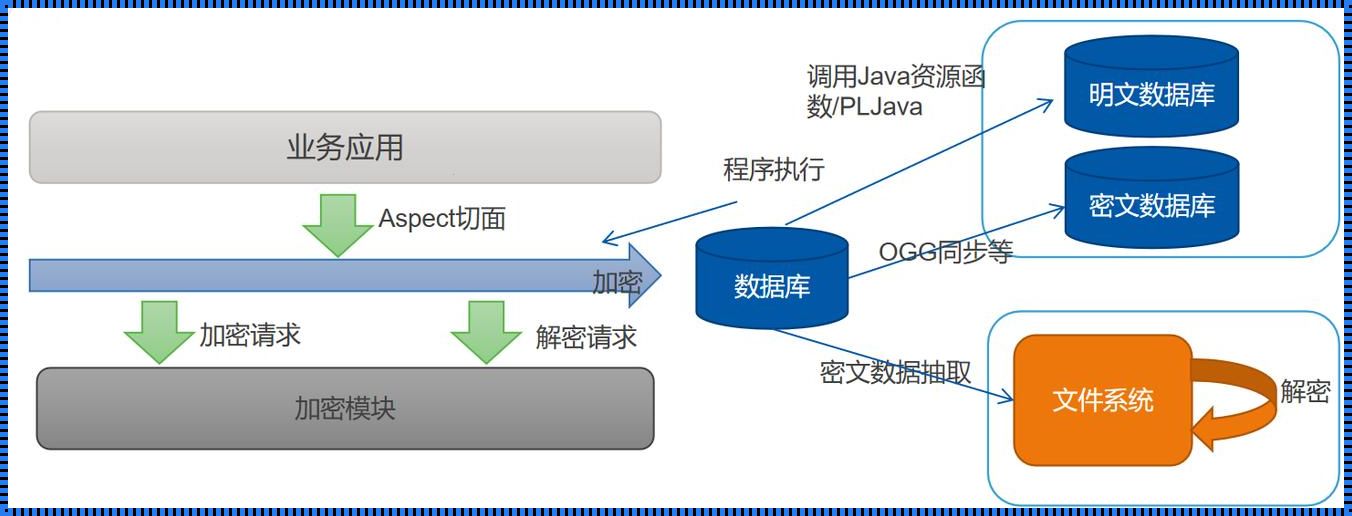 数据库数据加密方法：保障信息安全的关键技术