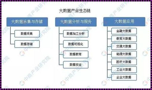 数据与大数据技术就业方向及前景：开启未来的钥匙