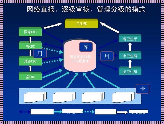 河北省网络直报系统：便捷与实效的完美结合