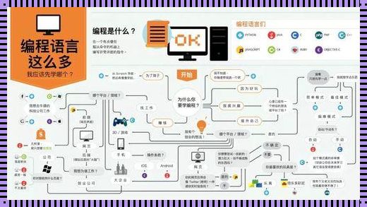 各编程语言的区别：揭开神秘面纱