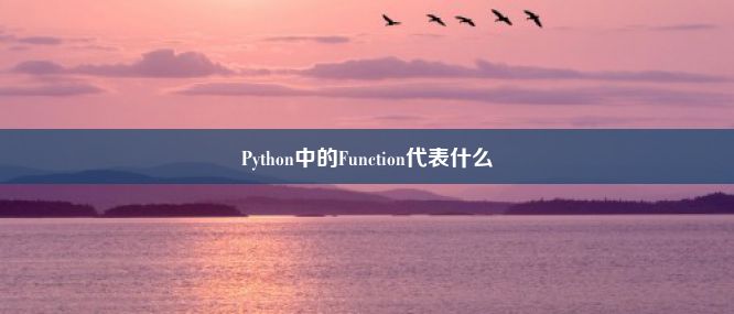 Python中的Function代表什么