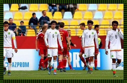 U17世界杯2023：青春的盛宴，未来的展望