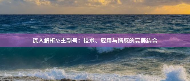 深入解析NS主副号：技术、应用与情感的完美结合