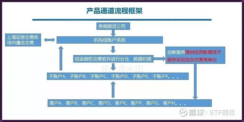 揭开期权分仓平台的神秘面纱