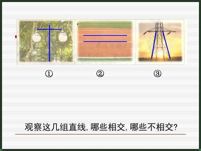 平行线会相交吗？——探讨几何学中的悖论