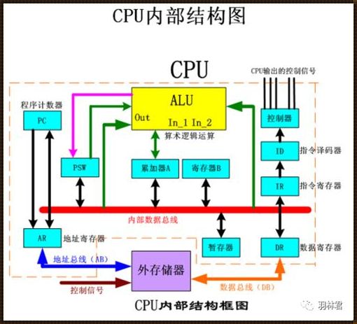 CPU主要储存部分：揭开神秘面纱