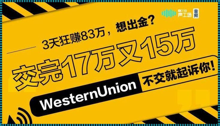 做外汇我赚了100万