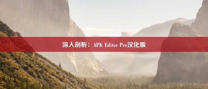 深入剖析：APK Editor Pro汉化版