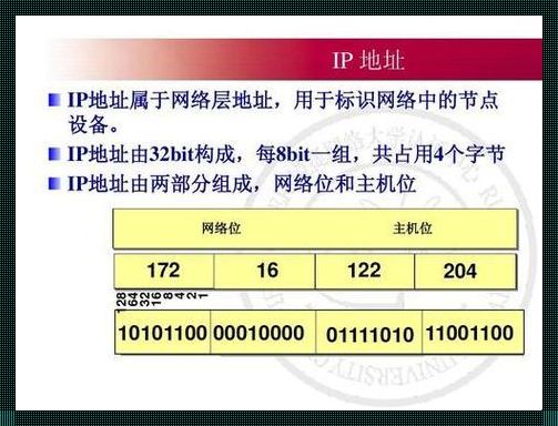 地址与字节的关系：深入剖析